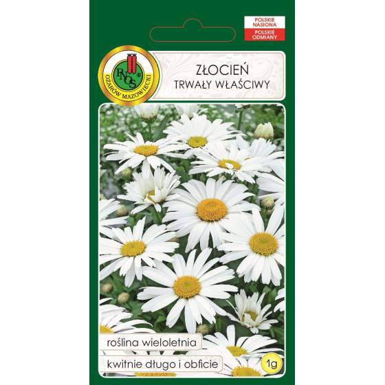 Pīpene, Pīpeņu sēklas, Margrietas, Margrietiņu sēklas, Chrysanthemum leucanthemum