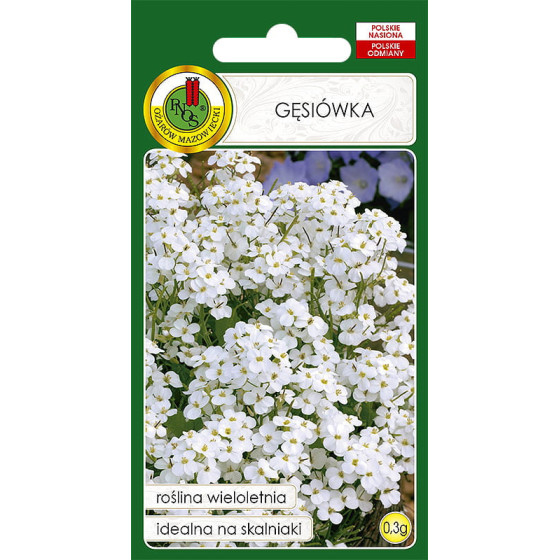 Arābe kaukāza, Arābes sēklas, Kaukāza arābes, Arabis caucasica