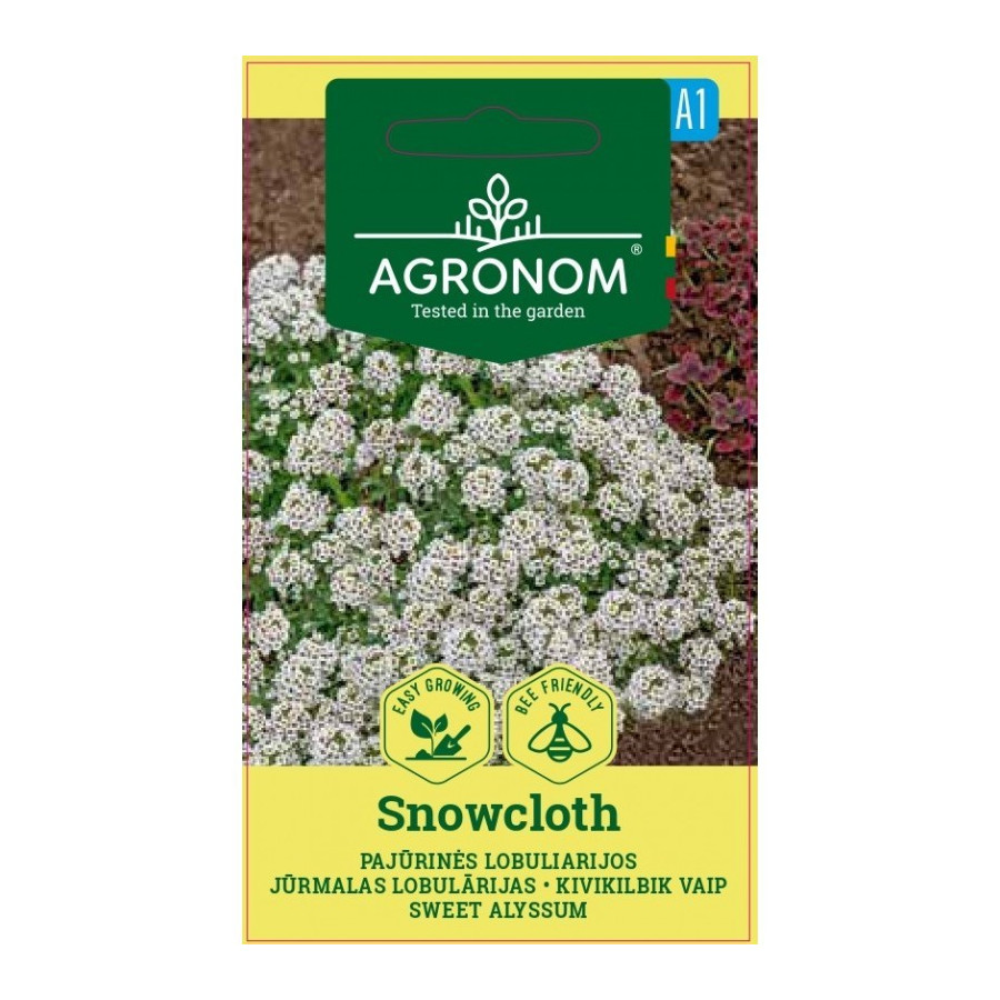 Lobulārijas, alises, alisītes, jurmalas lobulārijas, lobularia maritima