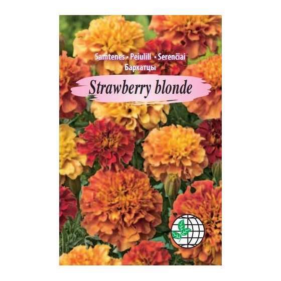 Samtenes Strawberry Blonde, Samteņu sēklas Strawberry Blonde