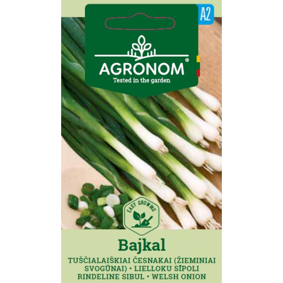 Sīpoli Bajkal, Sīpolu sēklas Bajkal, Ziemas sīpoli, Ziemas sīpoliņi