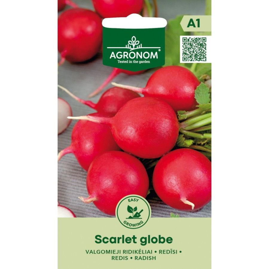 Redīsi SCARLET GLOBE