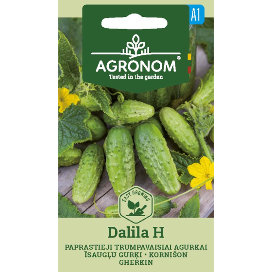 Gurķi Dalila, Gurķu sēklas Dalila