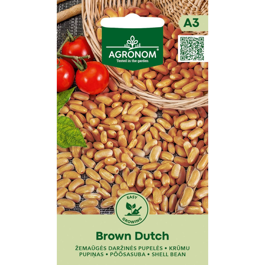 Pupiņas krūmu Brown Dutch, pupiņas, pupiņu sēklas, krūmu pupiņas