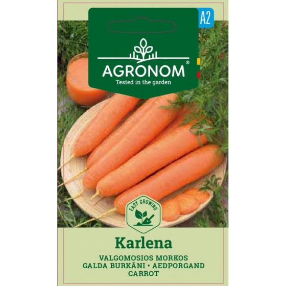 burkāni karlena, burkānu sēklas karlena, burkānu sēklas