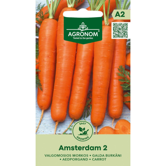 Burkāni AMSTERDAMMER 2