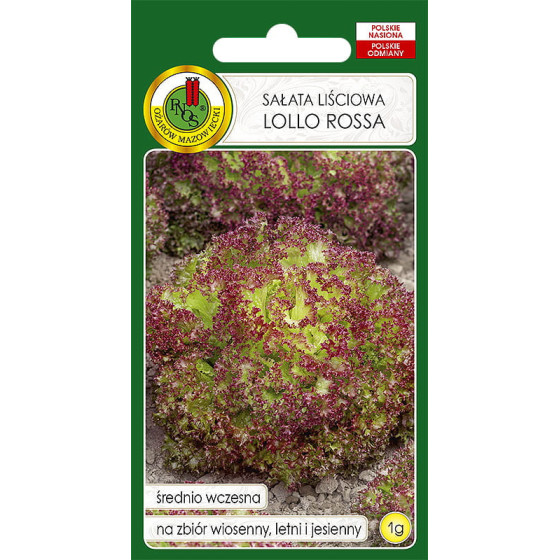 Salāti lapu LOLLO ROSSA, Lapu salāti Lollo Rossa