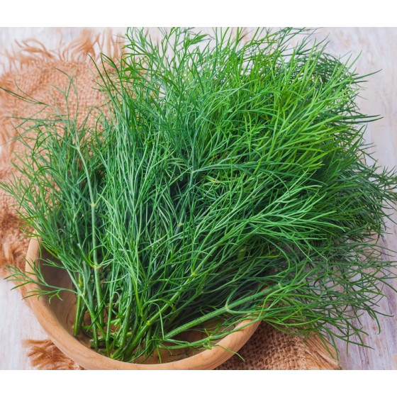 Dilles Ambrozja 100g *