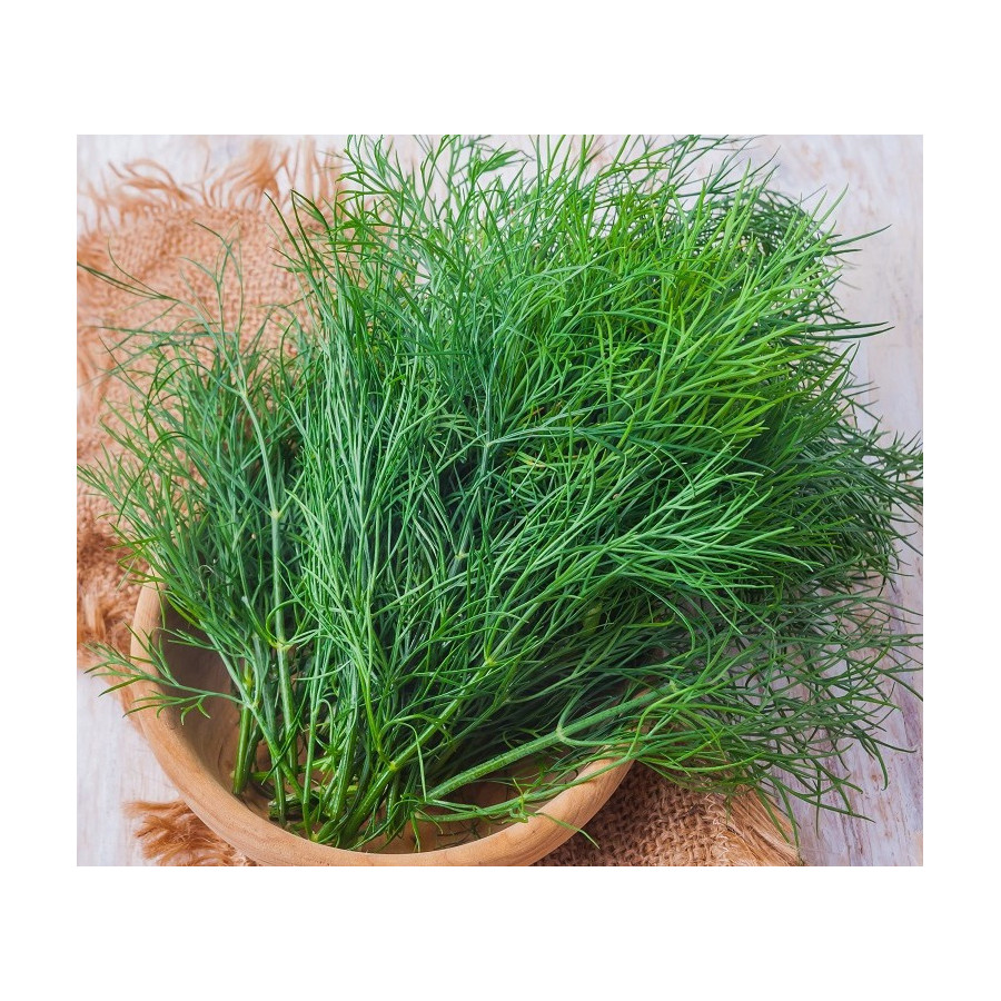 Dilles Ambrozja 100g *
