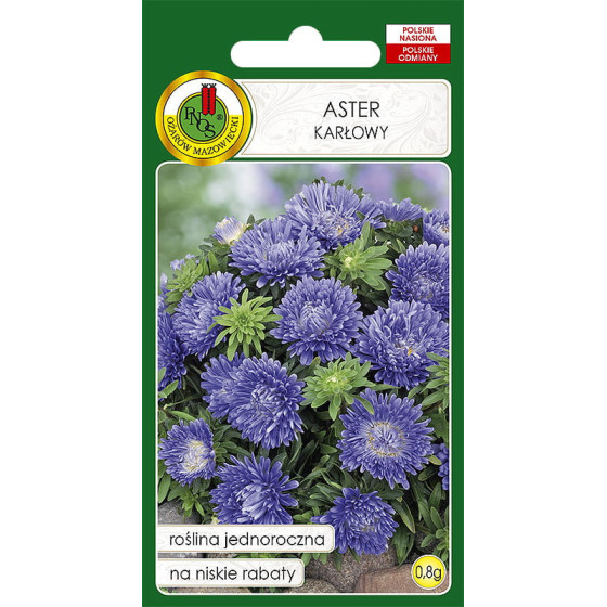 Asteres zemās Zilas 0,8g, Asteres, Zemās asteres, Asteru sēklas, Asteres sēklas