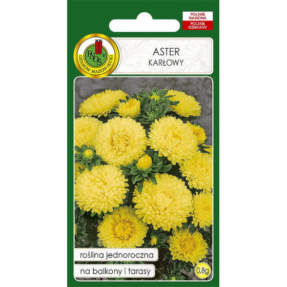 Asteres zemās Dzeltenas, Zemo asteru sēklas, Asteru sēklas, Zemās asteres, Asteres sēklas