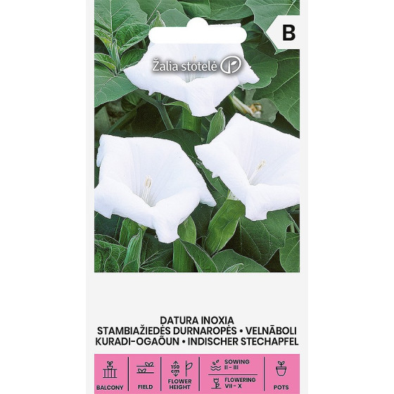 Velnābols, Velnābola sēklas, datura, daturas sēklas
