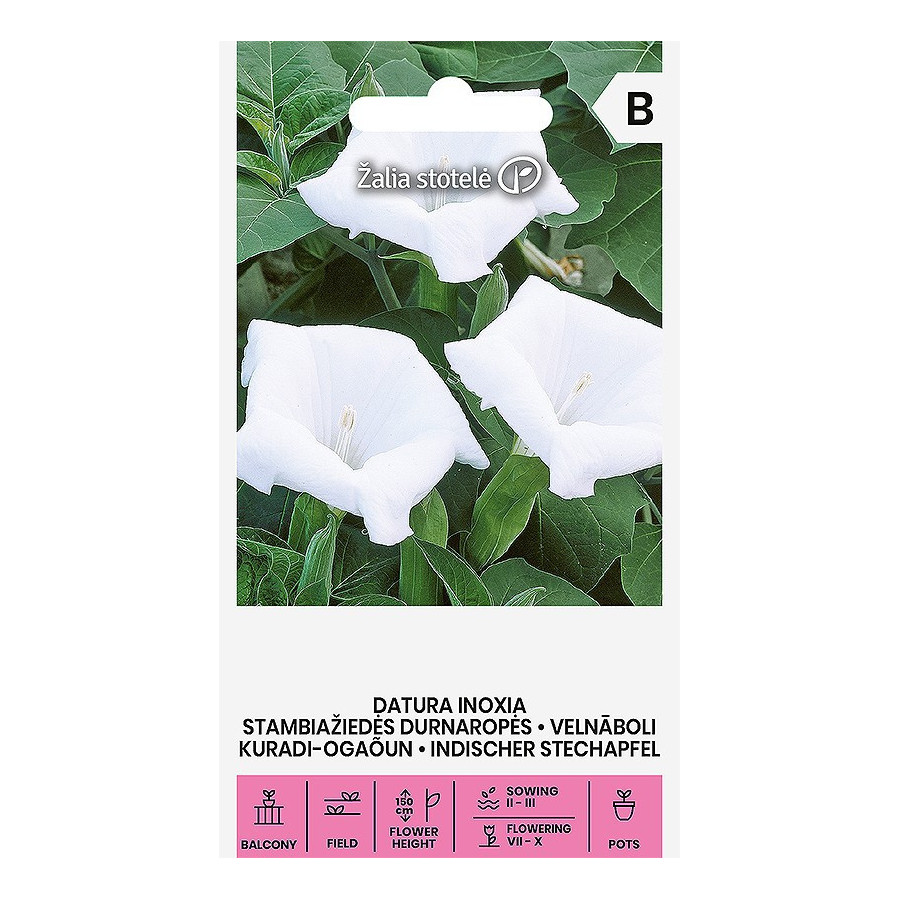 Velnābols, Velnābola sēklas, datura, daturas sēklas