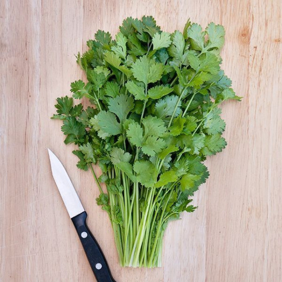 Koriandrs Caribe (0.5kg)