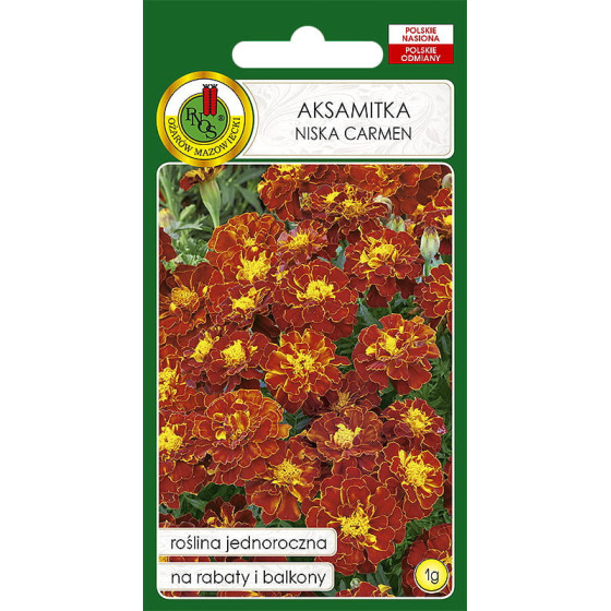 Samtenes zemās Carmen, Samtenes Carmen