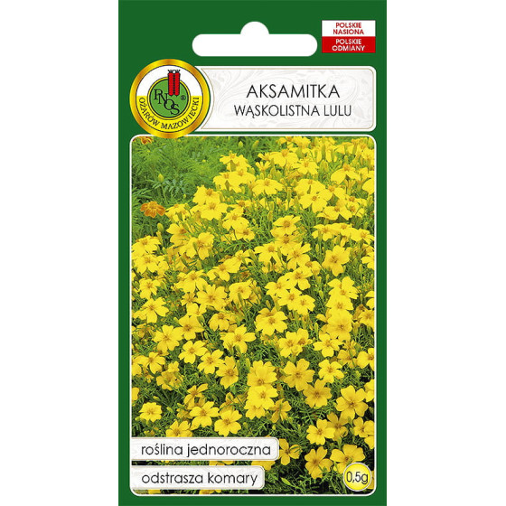 Samtenes smalklapu Lulu, Samtenes Lulu, Tagetes tenuifolia