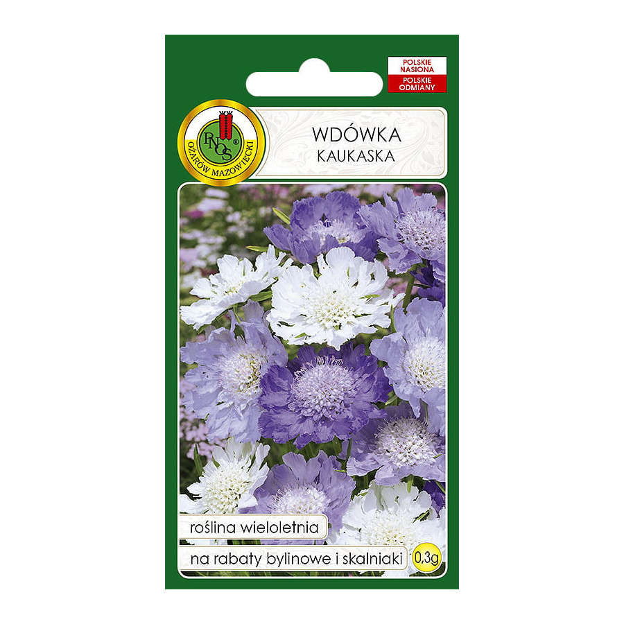Skabioza kaukāza Mix, Skabiozas, skabiozu sēklas, kaukāza skabioza, Scabiosa caucasica