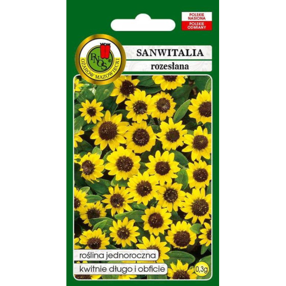 Sanvitālija, Sanvitālijas sēklas, Puķu Sēklas, Sanvitalia procumbens, Pazvilā sanvitālija, Sanvitālija pazvilā