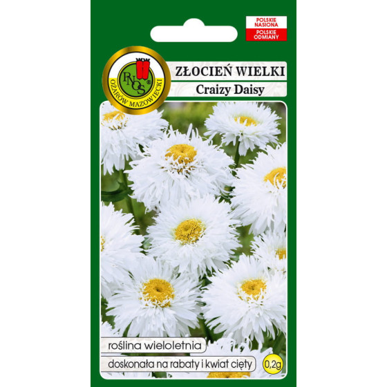 Pīpene lielziedu Crazy Daisy, Pīpenes Crazy Daisy, Pīpenes