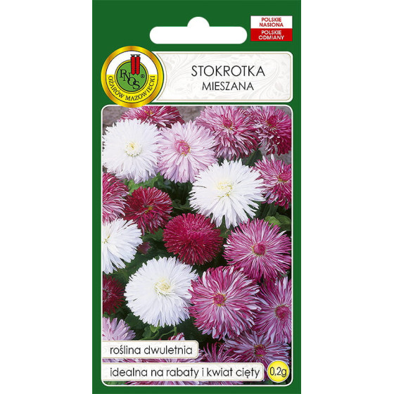 Mārpuķītes Super Enorma Mix, Mārpuķīšu sēklas, Mārpuķītes sēklas, Bellis perennis