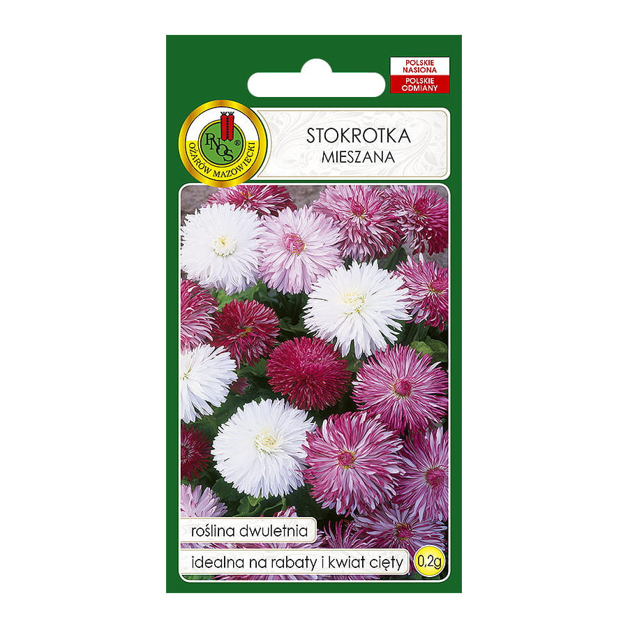 Mārpuķītes Super Enorma Mix, Mārpuķīšu sēklas, Mārpuķītes sēklas, Bellis perennis
