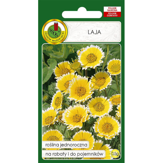 layia platyglossa, Leija gleznā, Leijas sēklas