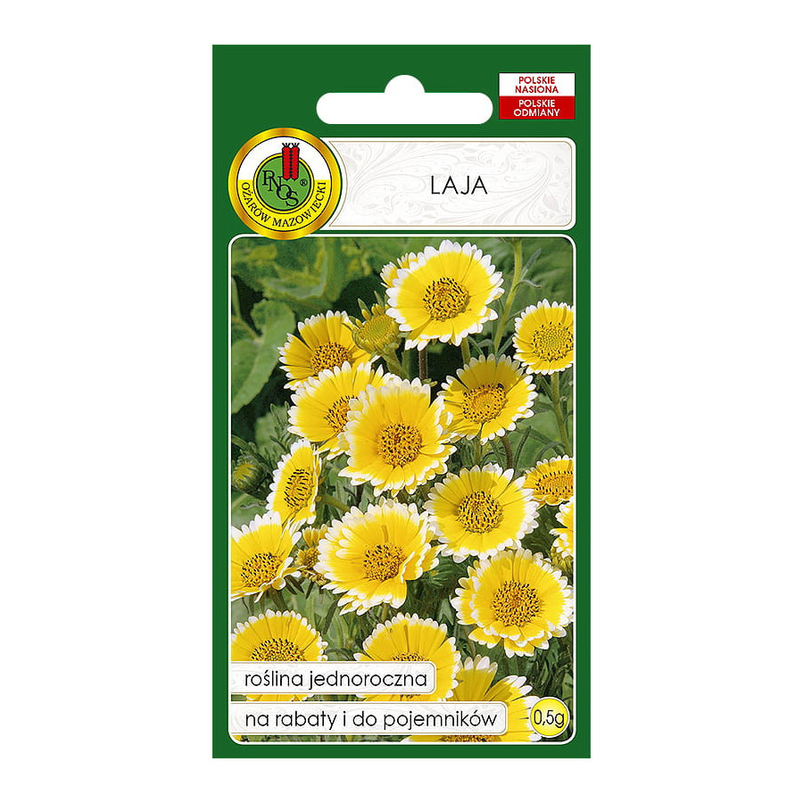 layia platyglossa, Leija gleznā, Leijas sēklas