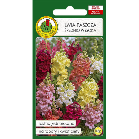 Lauvmutīte vidējā Mix, Lauvmutīšu sēklas