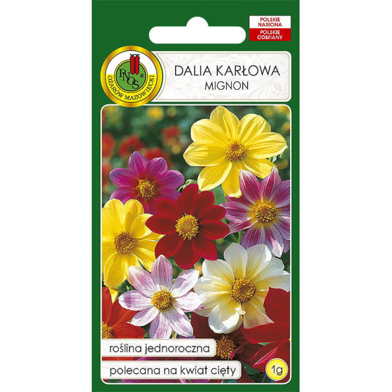 Dālijas, dāliju sēklas, vasaras dālijas, vasaras dāliju sēklas, Dahlia pinnata
