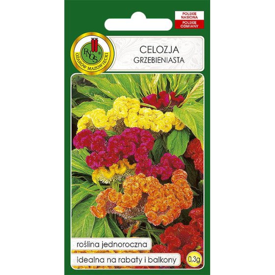 Celozija sekstainā Mix, Sekstaino celoziju sēklas, sekstainās celozijas, Celosia arg. cristata nana