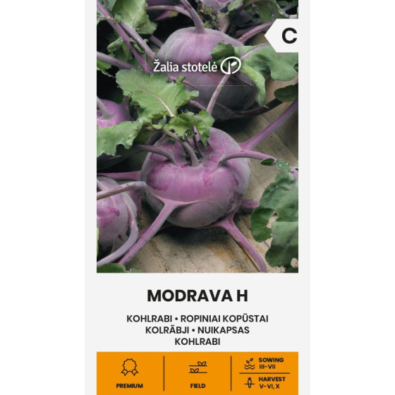 Kolrābji MODRAVA H, Kolrābju sēklas, Violetie kolrābji