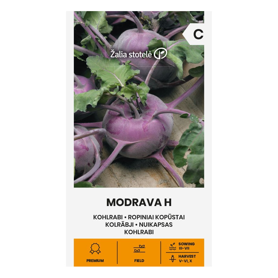 Kolrābji MODRAVA H, Kolrābju sēklas, Violetie kolrābji