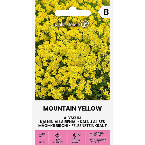 Klinšu alises. Kalnu alises, Alyssum montanum L.
