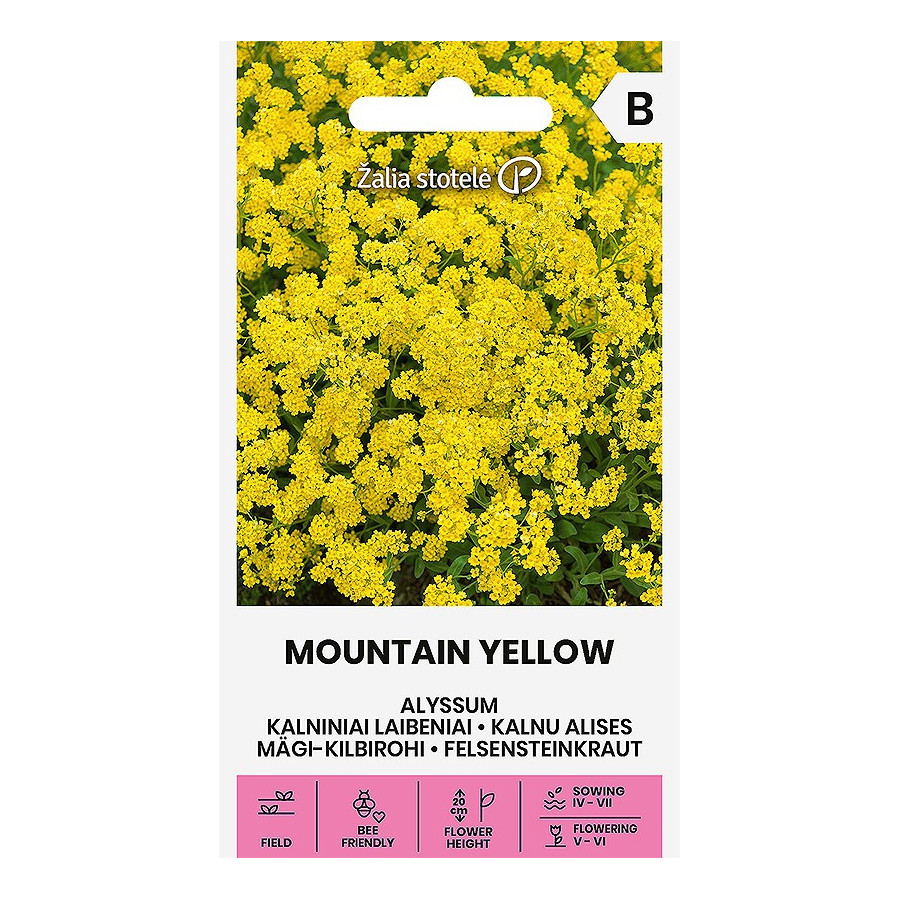 Klinšu alises. Kalnu alises, Alyssum montanum L.