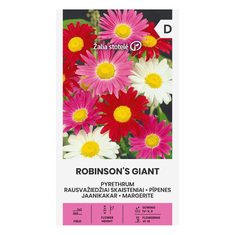 Pīpene ROBINSON'S GIANT, Pīpene šarlaksarkanā, Tanacetum coccineum, Pīpenes, Pīpeņu sēklas