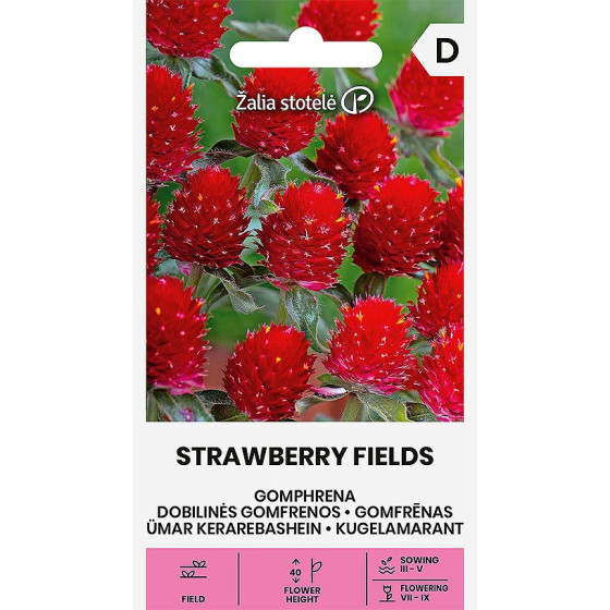 Gomfrēna lodveida STRAWBERRY FIELDS 1g, Gomfrēna, Gomfrēnas sēklas