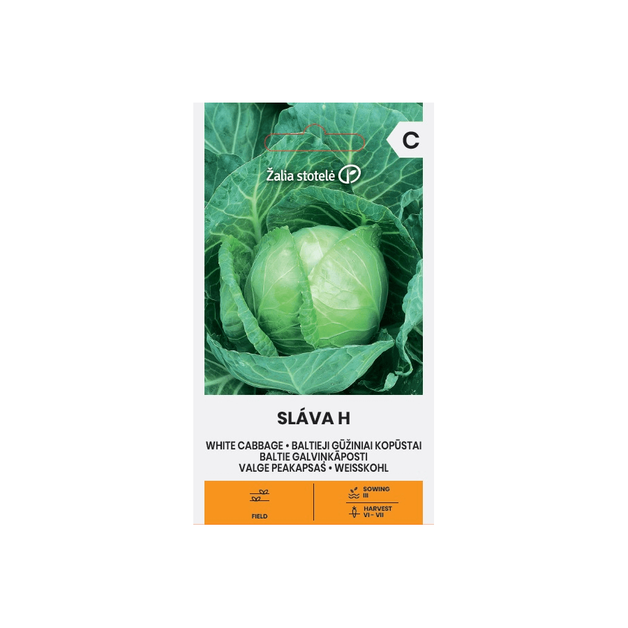 Baltie galviņkāposti SLAVA H, Kāposti Slava