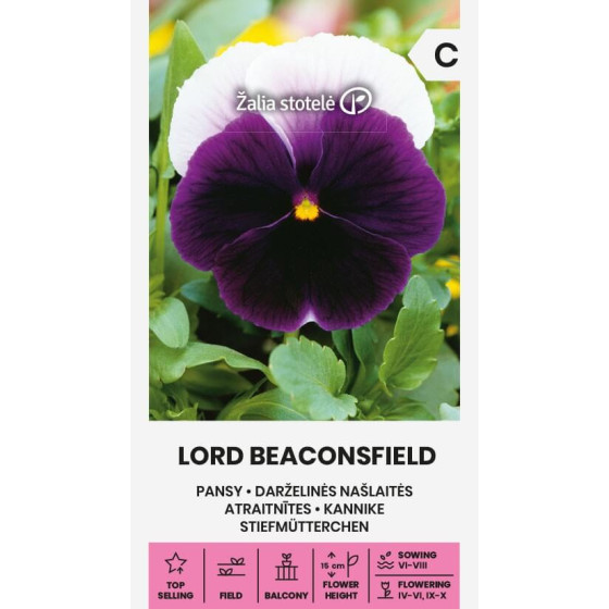 Atraitnītes LORD BICONSFIELD