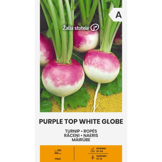 Rāceņi, Rāceņu sēklas, Rāceņi PURPLE TOP WHITE GLOBE