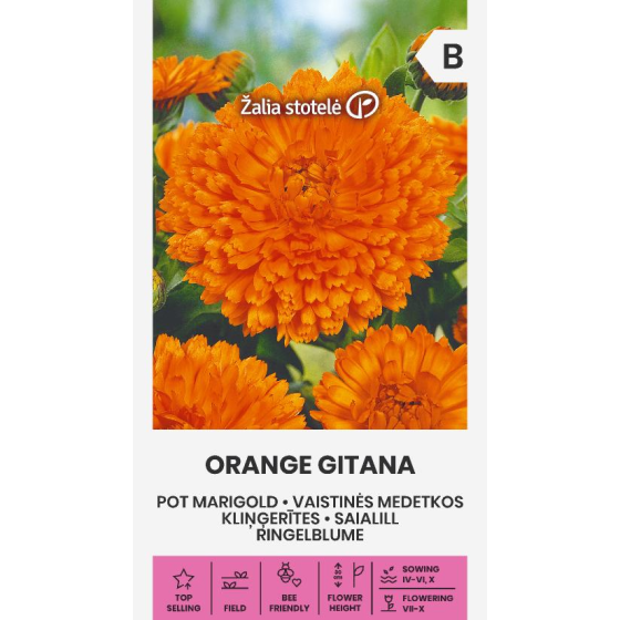 Kliņģerītes ORANGE GITANA, Kliņģerīšu sēklas