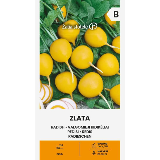 Redīsi ZLATA , Redīsi, ZLATA , Dzelteni redīsi, Dzeltenie redīsi