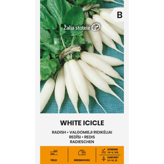 Redīsi ICICLE, Baltie redīsi, Garie redīsi
