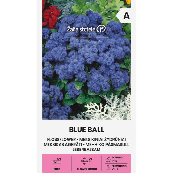Agerāti Meksikas Blue Ball, Agerāti, Agerātu sēklas, Haustona agerāti, Haustona agerāts