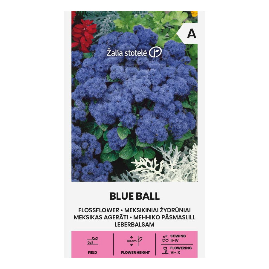 Agerāti Meksikas Blue Ball, Agerāti, Agerātu sēklas, Haustona agerāti, Haustona agerāts