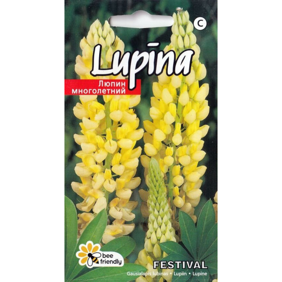 Lupīnas Festival, lupīnu sēklas, lupīnas, dzeltenas lupīnas