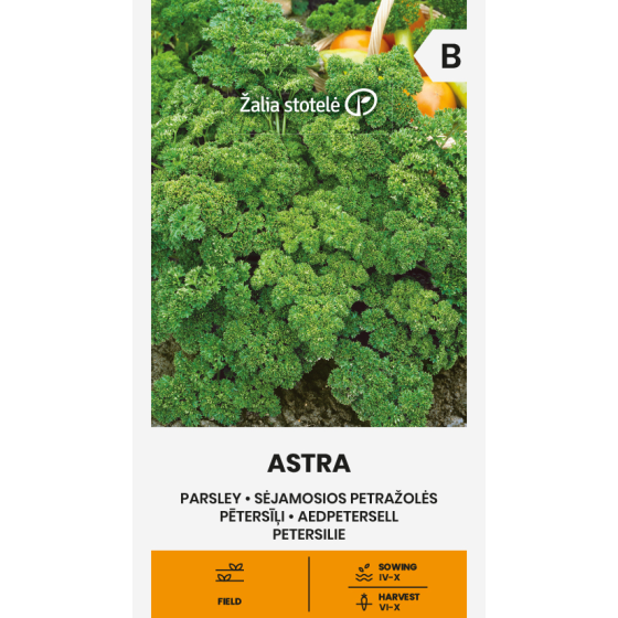 Pētersīļi lapu Astra, Pētersīļu sēklas, Kruzuļainie pētersīļi