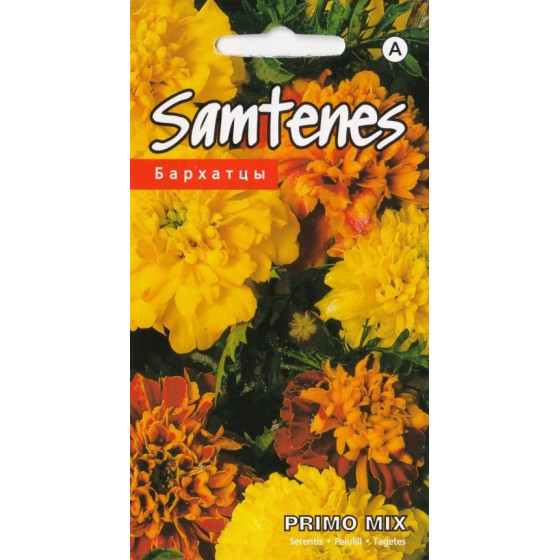 Samtenes zemās Primo mix, Samtenes, Samteņu sēklas, samtenes zemās