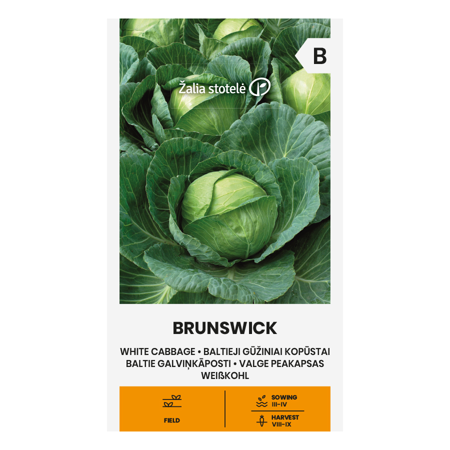 Baltie galviņkāposti BRUNSWICK, Kāpostu sēklas BRUNSWICK, Kāposti Brunswick