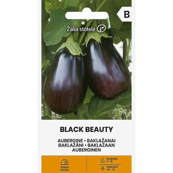 Baklažāni BLACK BEAUTY, Baklažānu sēklas