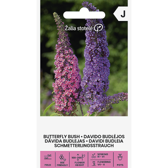 Dāvida budleja, Budlejas sēklas, Buddleja davidii